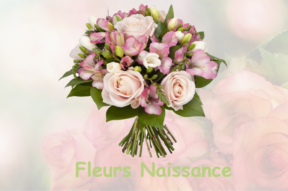 fleurs naissance MAURAN