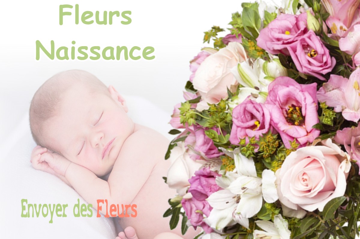 lIVRAISON FLEURS NAISSANCE à MAURAN